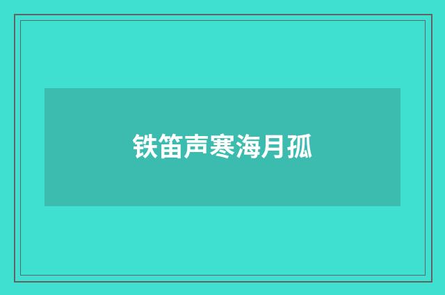 铁笛声寒海月孤