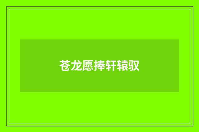 苍龙愿捧轩辕驭