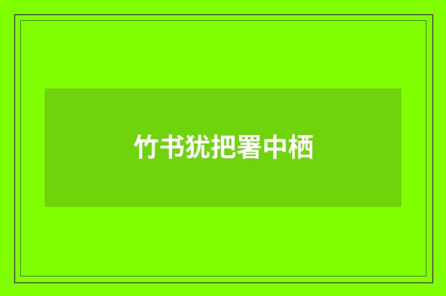 竹书犹把署中栖