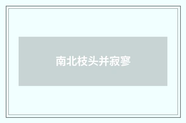 南北枝头并寂寥