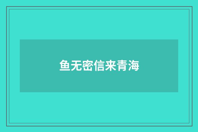 鱼无密信来青海