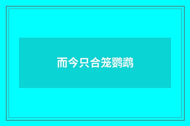 而今只合笼鹦鹉