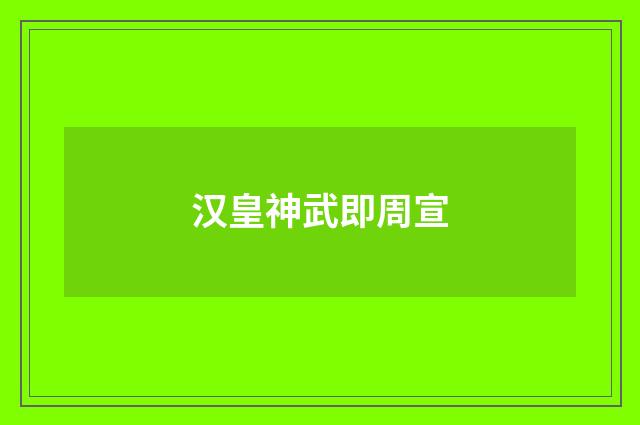 汉皇神武即周宣