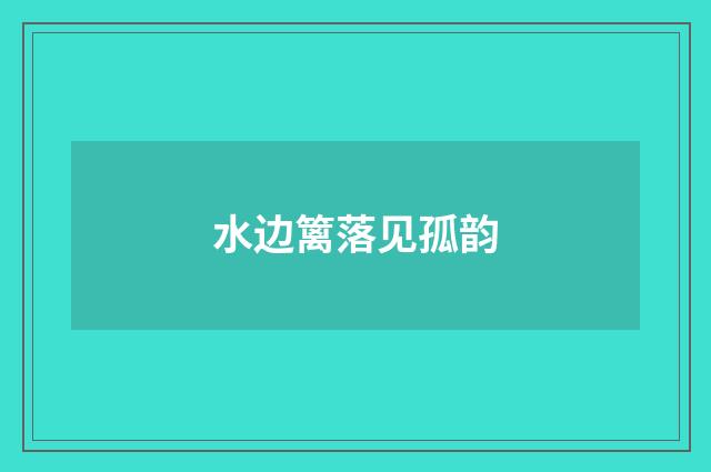 水边篱落见孤韵