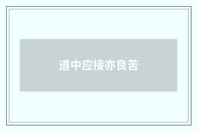 道中应接亦良苦