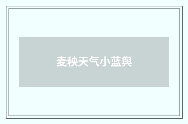 麦秧天气小蓝舆