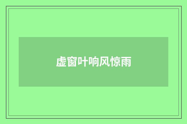 虚窗叶响风惊雨