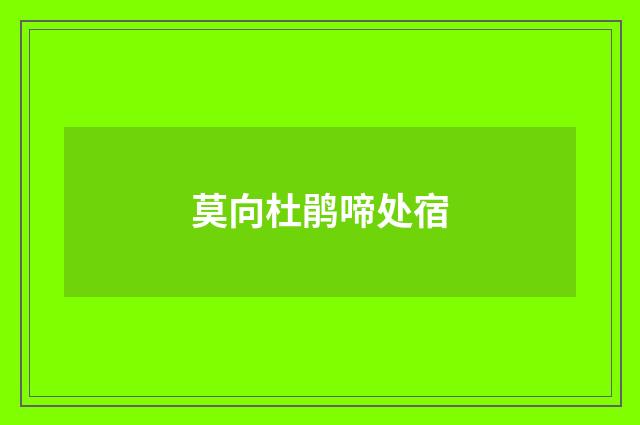 莫向杜鹃啼处宿