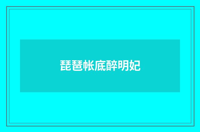 琵琶帐底醉明妃