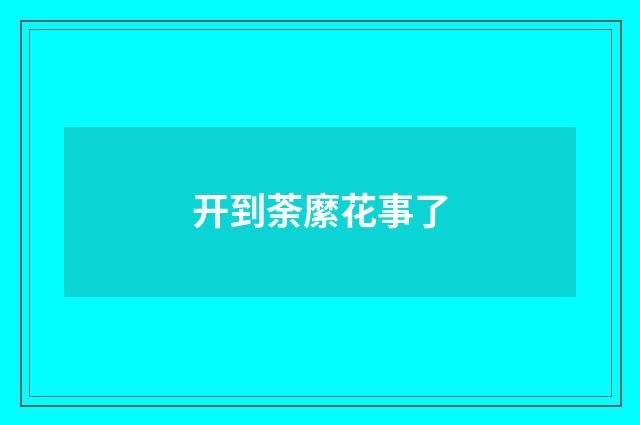 开到荼縻花事了