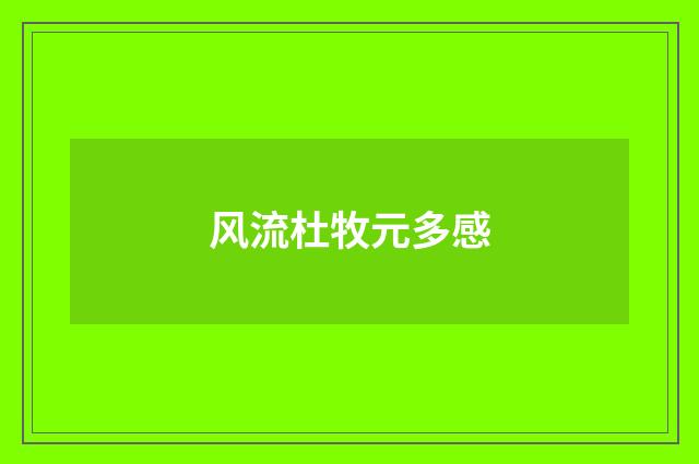 风流杜牧元多感