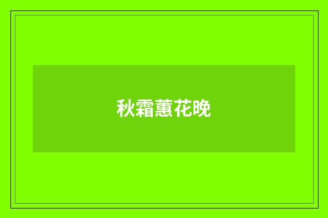 秋霜蕙花晚