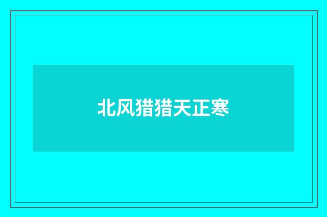 北风猎猎天正寒