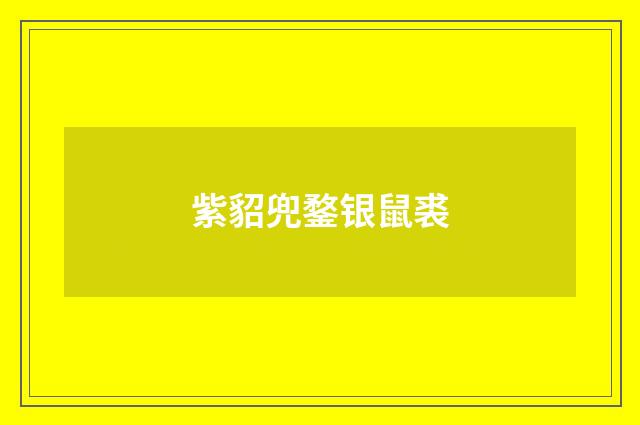 紫貂兜鍪银鼠裘