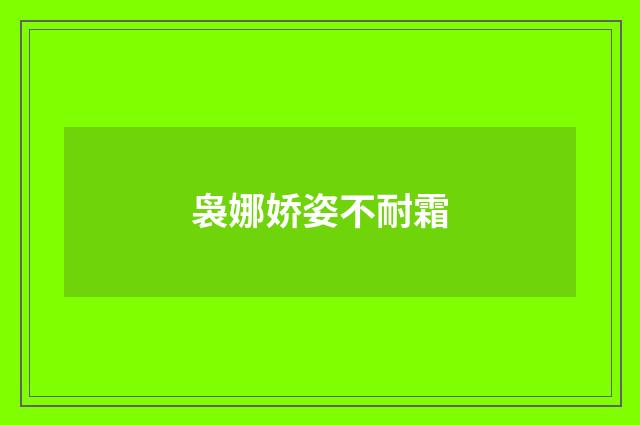袅娜娇姿不耐霜
