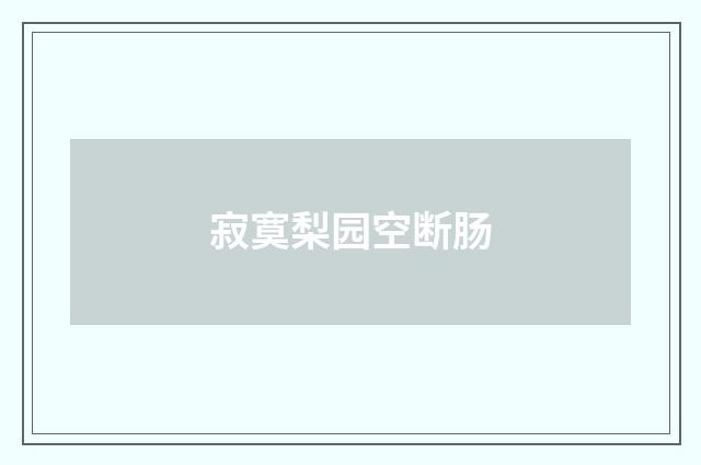 寂寞梨园空断肠