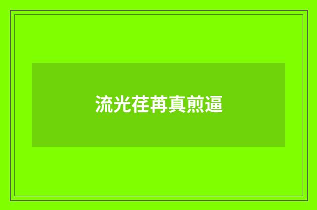 流光荏苒真煎逼