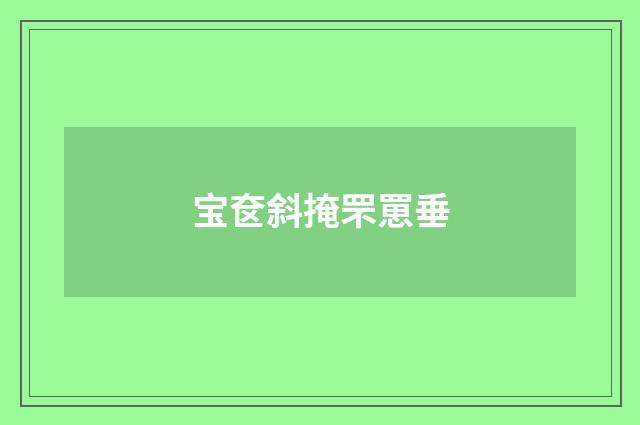 宝奁斜掩罘罳垂