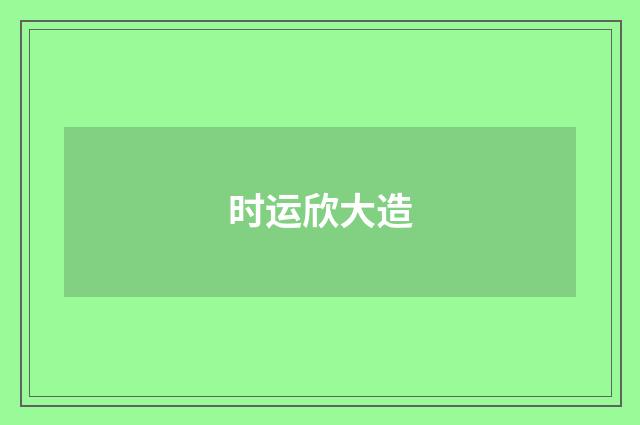 时运欣大造