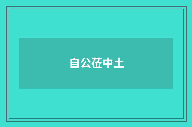 自公莅中土