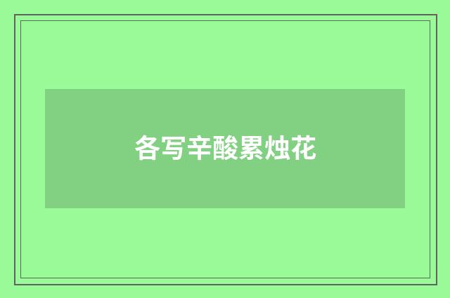 各写辛酸累烛花