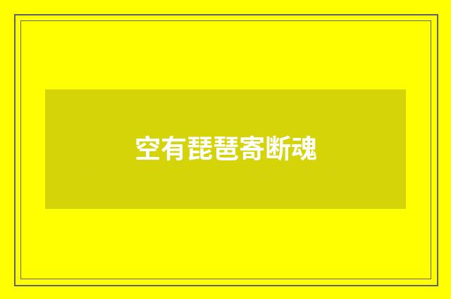 空有琵琶寄断魂