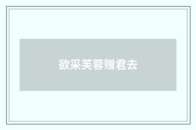 欲采芙蓉赠君去