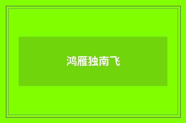 鸿雁独南飞