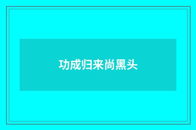 功成归来尚黑头