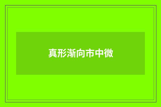 真形渐向市中微