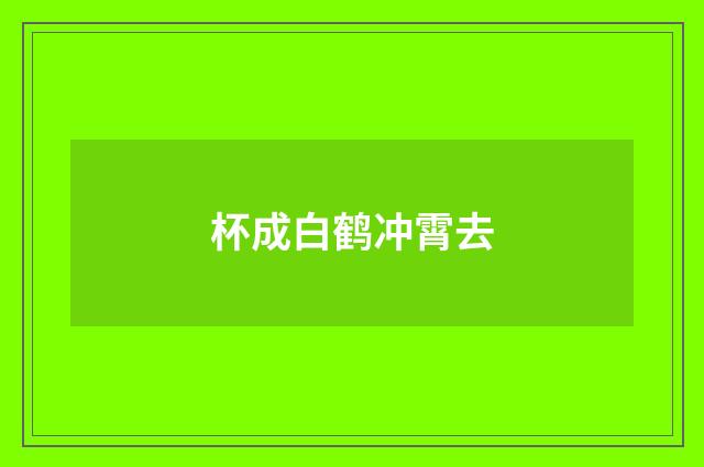 杯成白鹤冲霄去