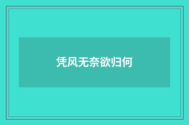 凭风无奈欲归何