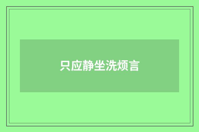 只应静坐洗烦言