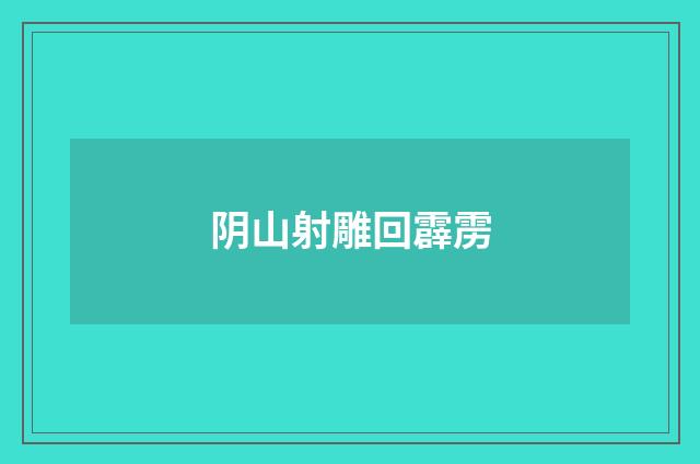 阴山射雕回霹雳