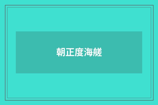 朝正度海艖
