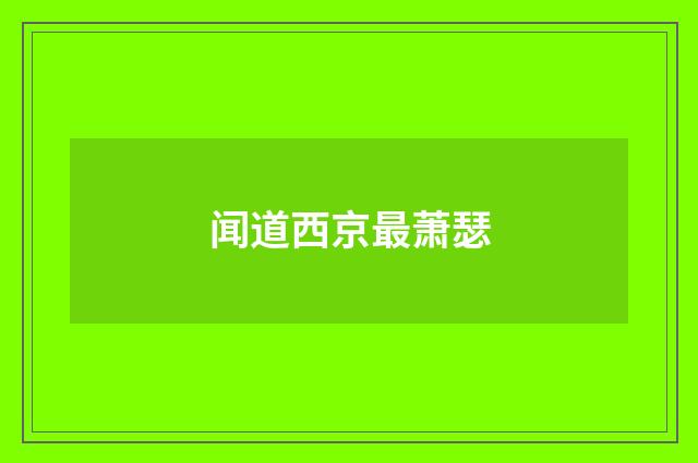 闻道西京最萧瑟
