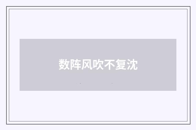 数阵风吹不复沈