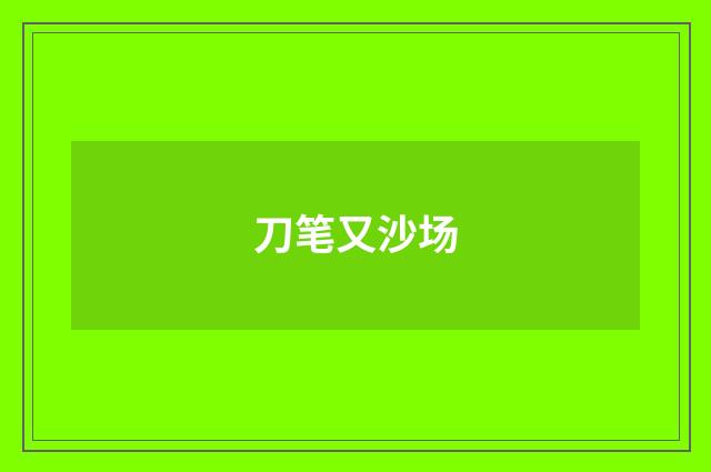 刀笔又沙场