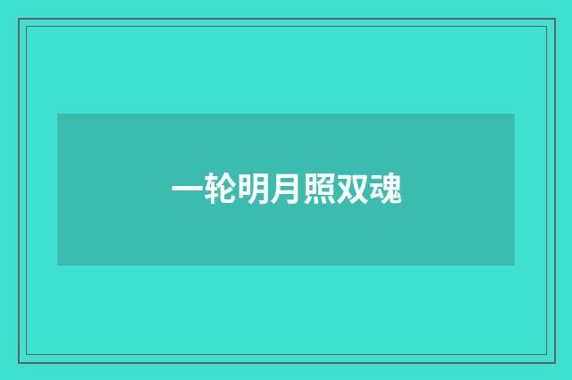 一轮明月照双魂