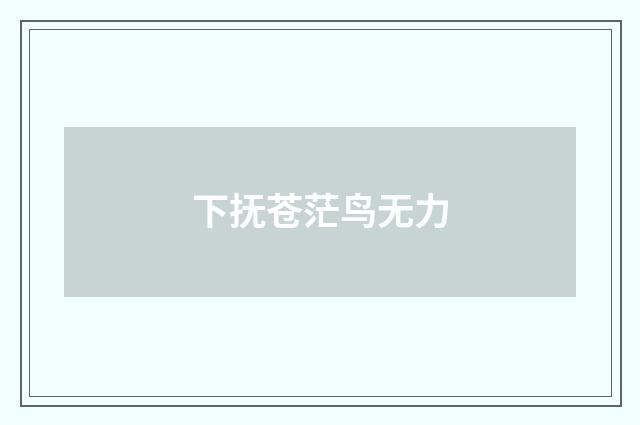下抚苍茫鸟无力