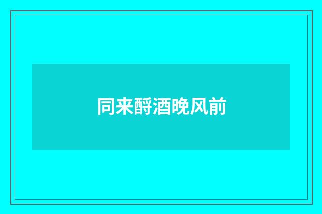 同来酹酒晚风前