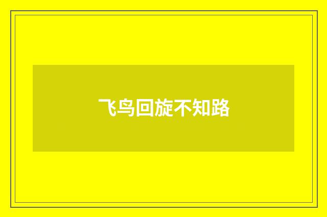 飞鸟回旋不知路