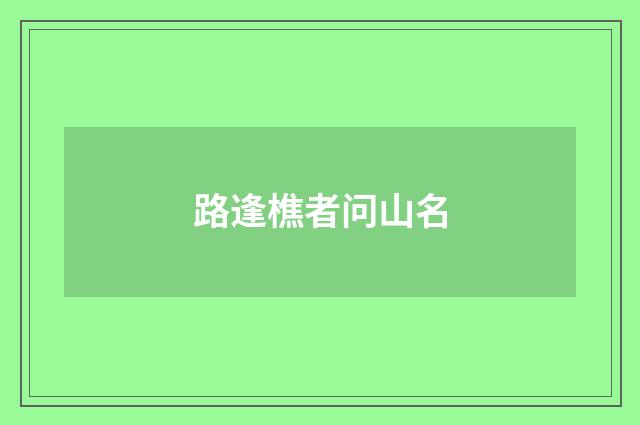 路逢樵者问山名