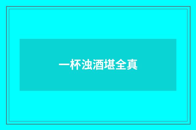 一杯浊酒堪全真