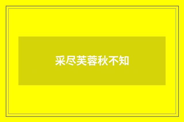 采尽芙蓉秋不知