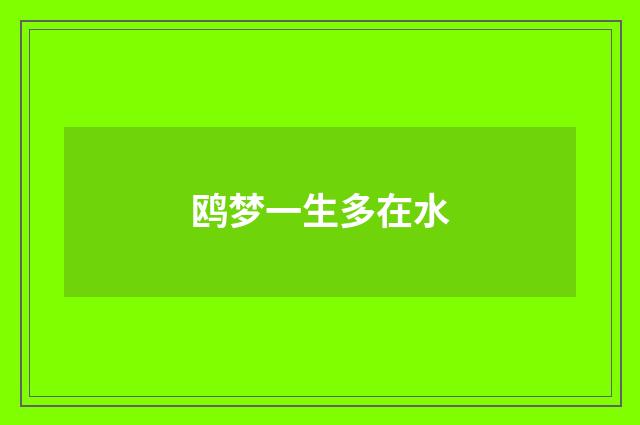 鸥梦一生多在水