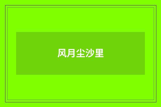 风月尘沙里