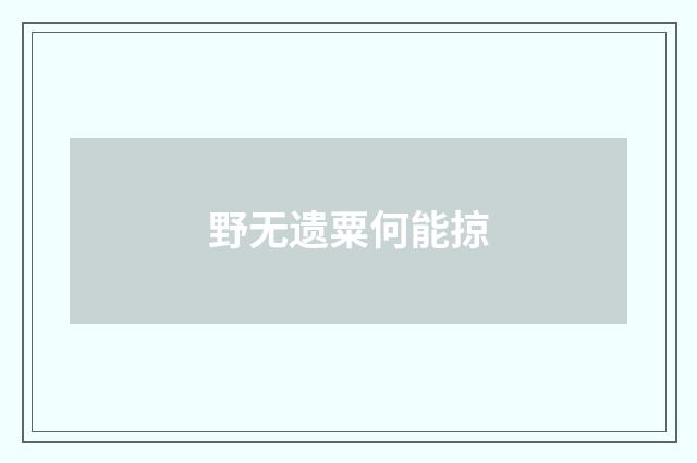 野无遗粟何能掠