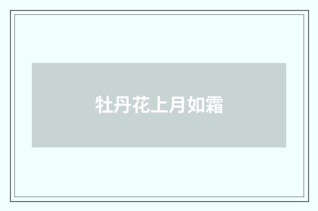 牡丹花上月如霜