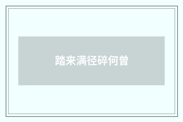 踏来满径碎何曾